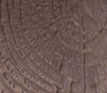 EDEN CERAMIC SIDE TABLE - XENA INTERIOR VISION студия дизайнера Ксении Лазаревич